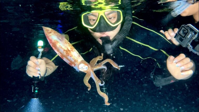 Night Snorkel Cozumel: A Magical Underwater Experience