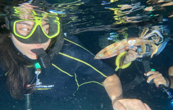 Night Snorkel Tour